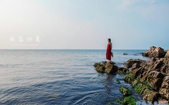 国产精品无码天天爽视频